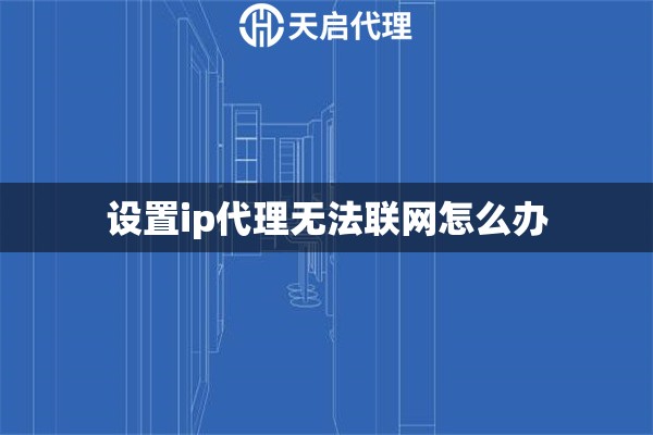 设置ip代理无法联网怎么办