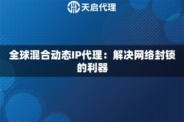 全球混合动态IP代理：解决网络封锁的利器