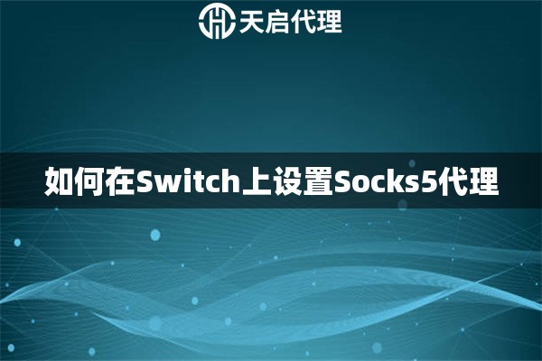 如何在Switch上设置Socks5代理