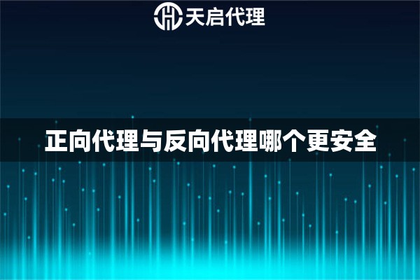 正向代理与反向代理哪个更安全