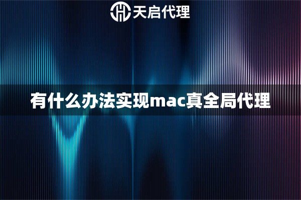 有什么办法实现mac真全局代理