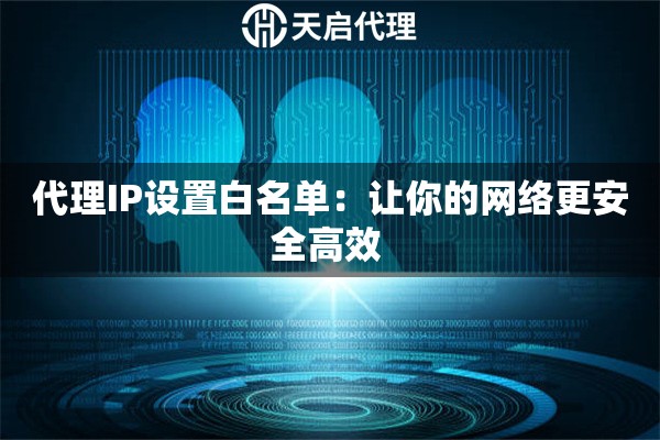 代理IP设置白名单：让你的网络更安全高效 