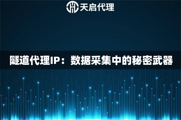 隧道代理IP：数据采集中的秘密武器