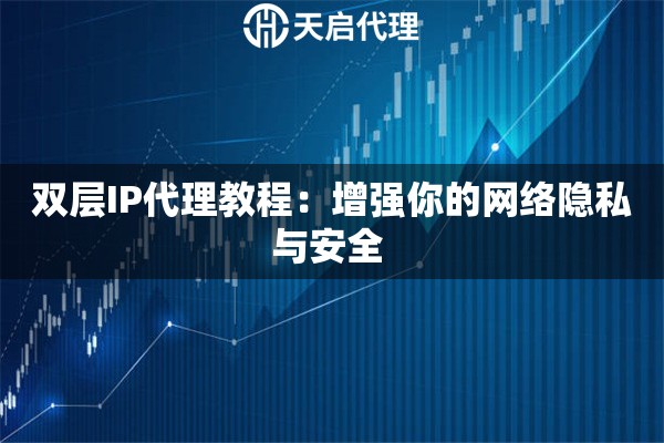 双层IP代理教程：增强你的网络隐私与安全 