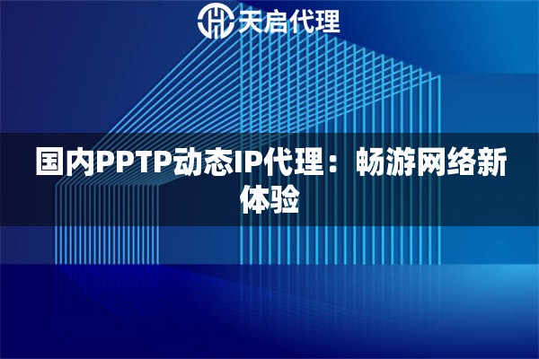 国内PPTP动态IP代理：畅游网络新体验