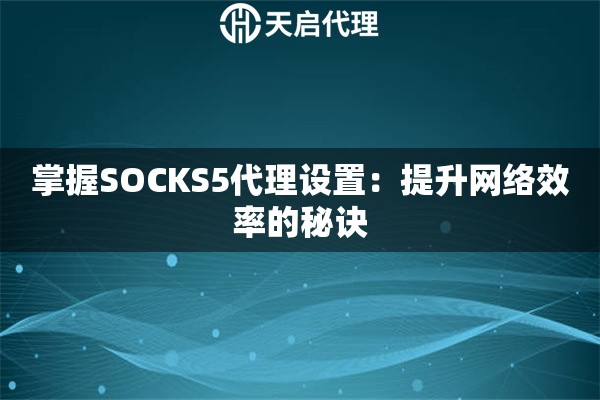 掌握SOCKS5代理设置：提升网络效率的秘诀