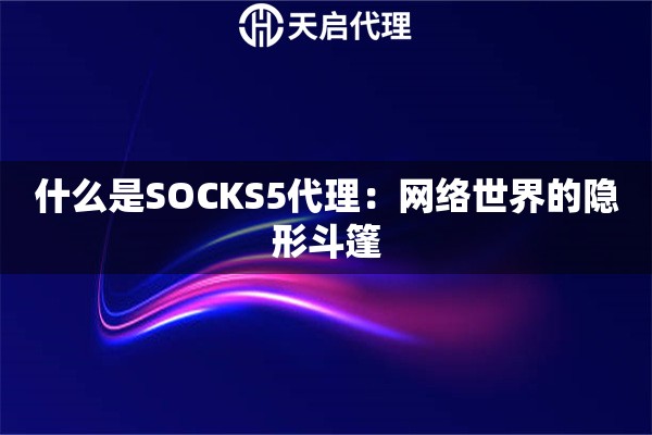 什么是SOCKS5代理：网络世界的隐形斗篷