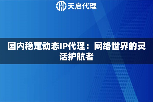 国内稳定动态IP代理：网络世界的灵活护航者