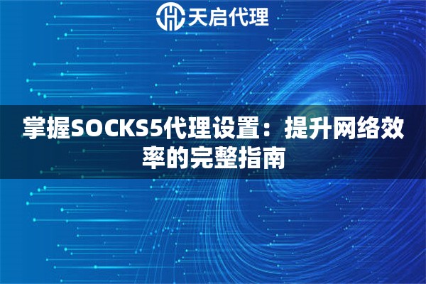 掌握SOCKS5代理设置：提升网络效率的完整指南