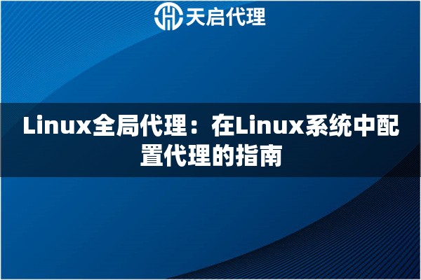 Linux全局代理：在Linux系统中配置代理的指南