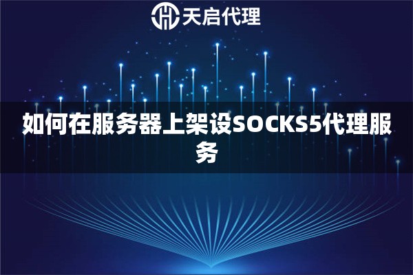 如何在服务器上架设SOCKS5代理服务