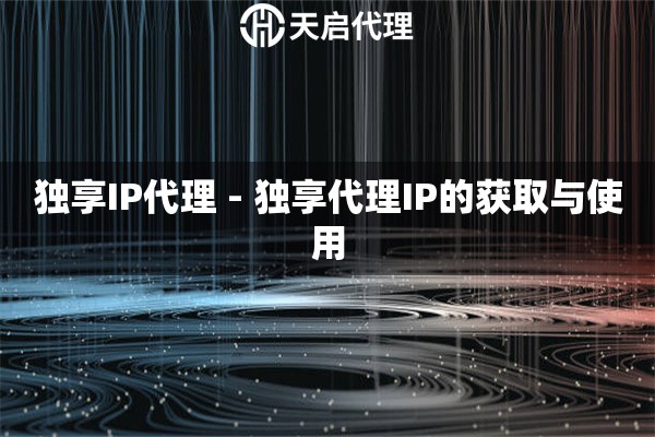 独享IP代理 - 独享代理IP的获取与使用