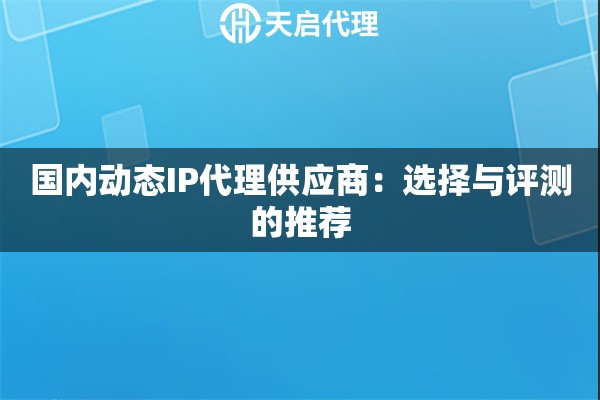 国内动态IP代理供应商：选择与评测的推荐