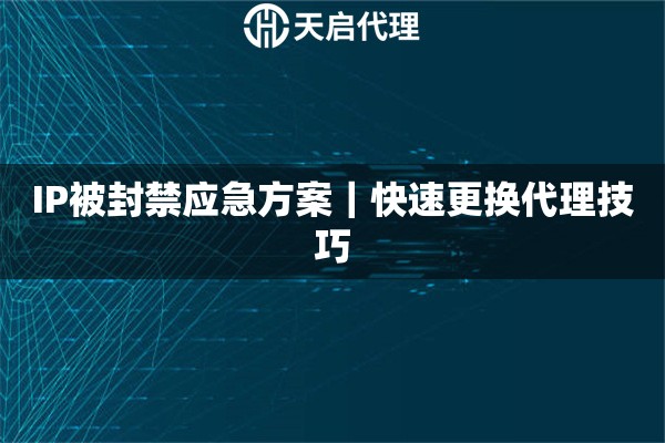 IP被封禁应急方案｜快速更换代理技巧