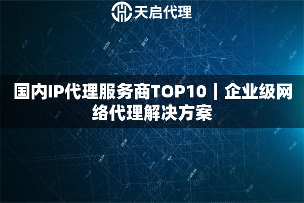 国内IP代理服务商TOP10｜企业级网络代理解决方案