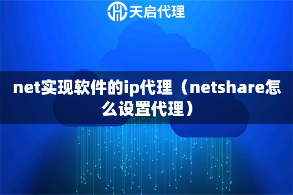 net实现软件的ip代理（netshare怎么设置代理）