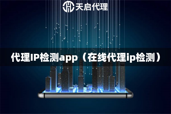 代理IP检测app（在线代理ip检测）