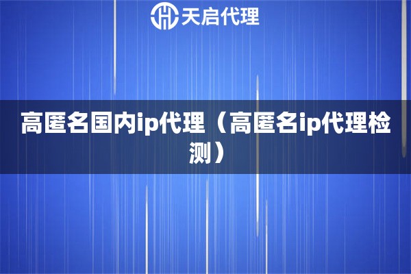 高匿名国内ip代理（高匿名ip代理检测）