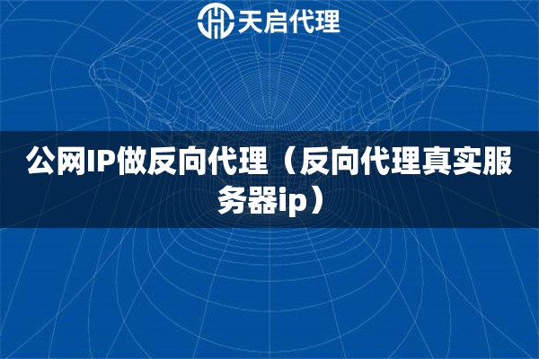 公网IP做反向代理（反向代理真实服务器ip）