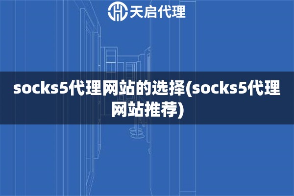 socks5代理网站的选择(socks5代理网站推荐)