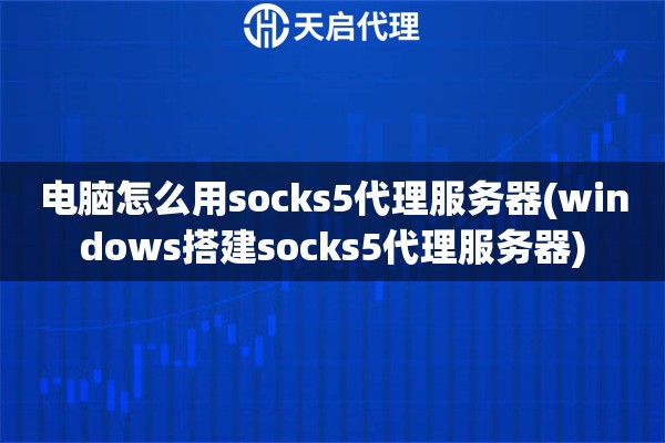 电脑怎么用socks5代理服务器(windows搭建socks5代理服务器)